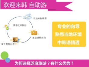 專業韓語翻譯服務 覆蓋首爾與釜山，商務與普通場景高效對接